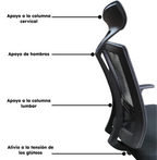 Silla De Oficina Ergonómica Pro Apoya Cabeza