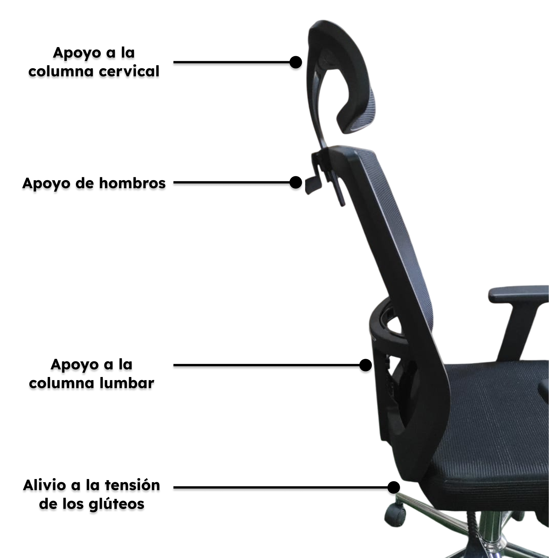 Silla De Oficina Ergonomica Pro 2